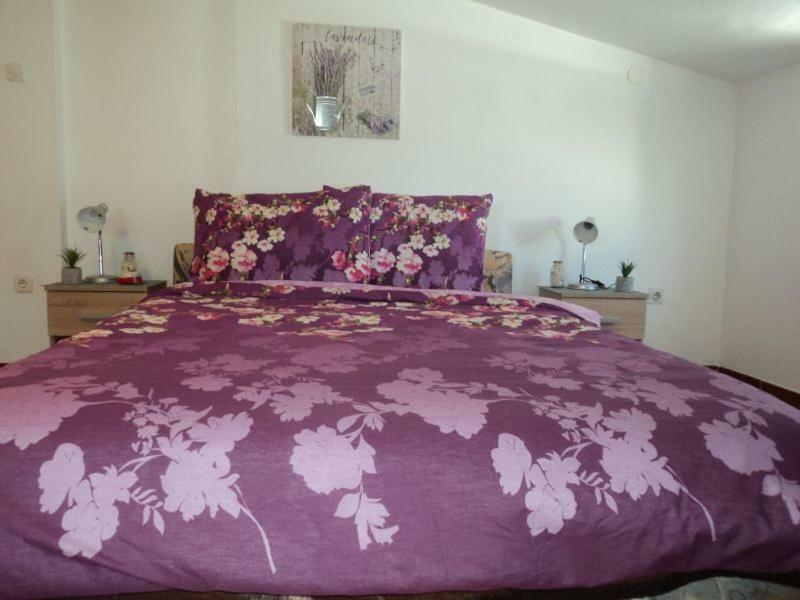 Studio Apartments Ana Rovigno Esterno foto