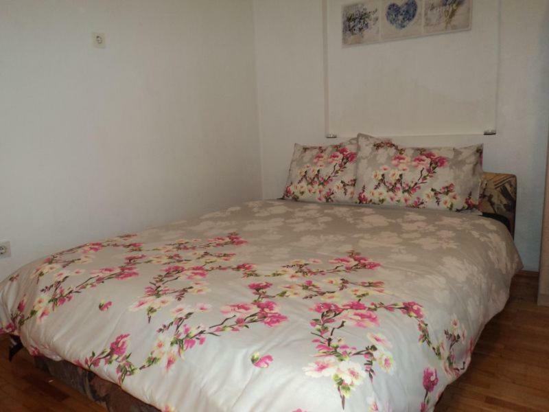 Studio Apartments Ana Rovigno Esterno foto